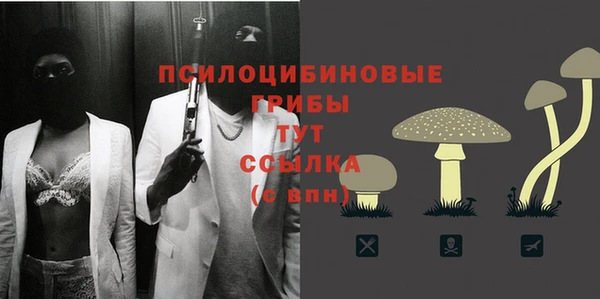 бутират Алексин