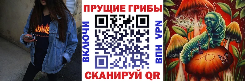 Галлюциногенные грибы GOLDEN TEACHER  Ковров 