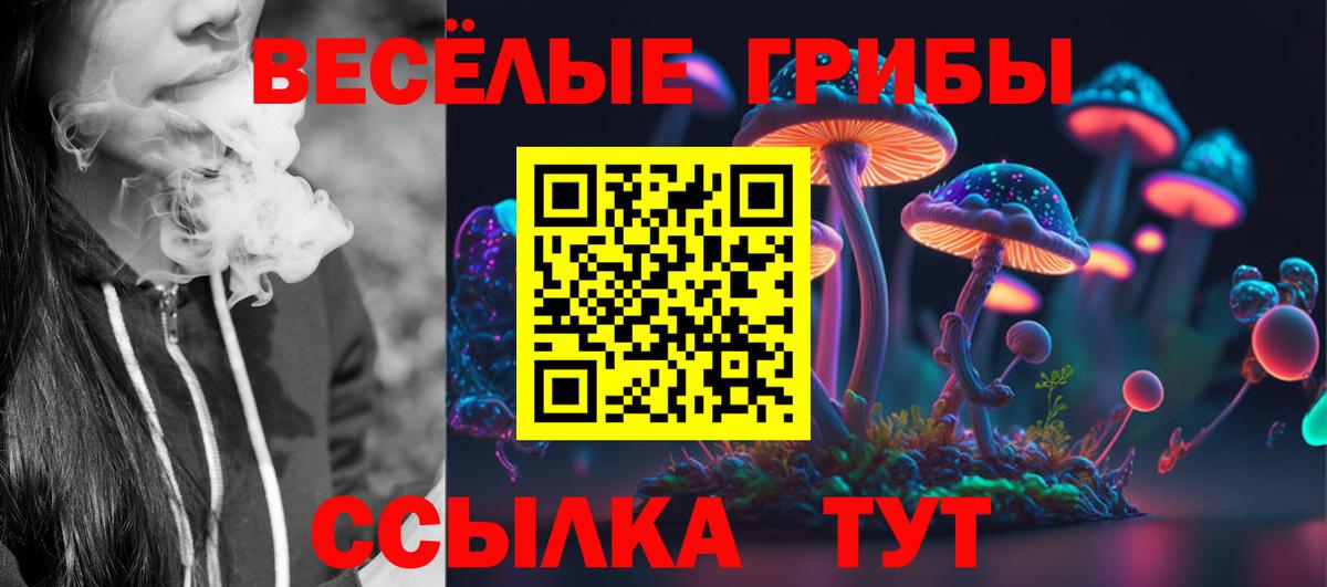 Ковров  Галлюциногенные грибы Psilocybine cubensis  Галлюциногенные грибы Magic Shrooms  Вход с VPN 